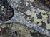 Fishpond - Nomad Mid-Length Net - Riverbed Camo