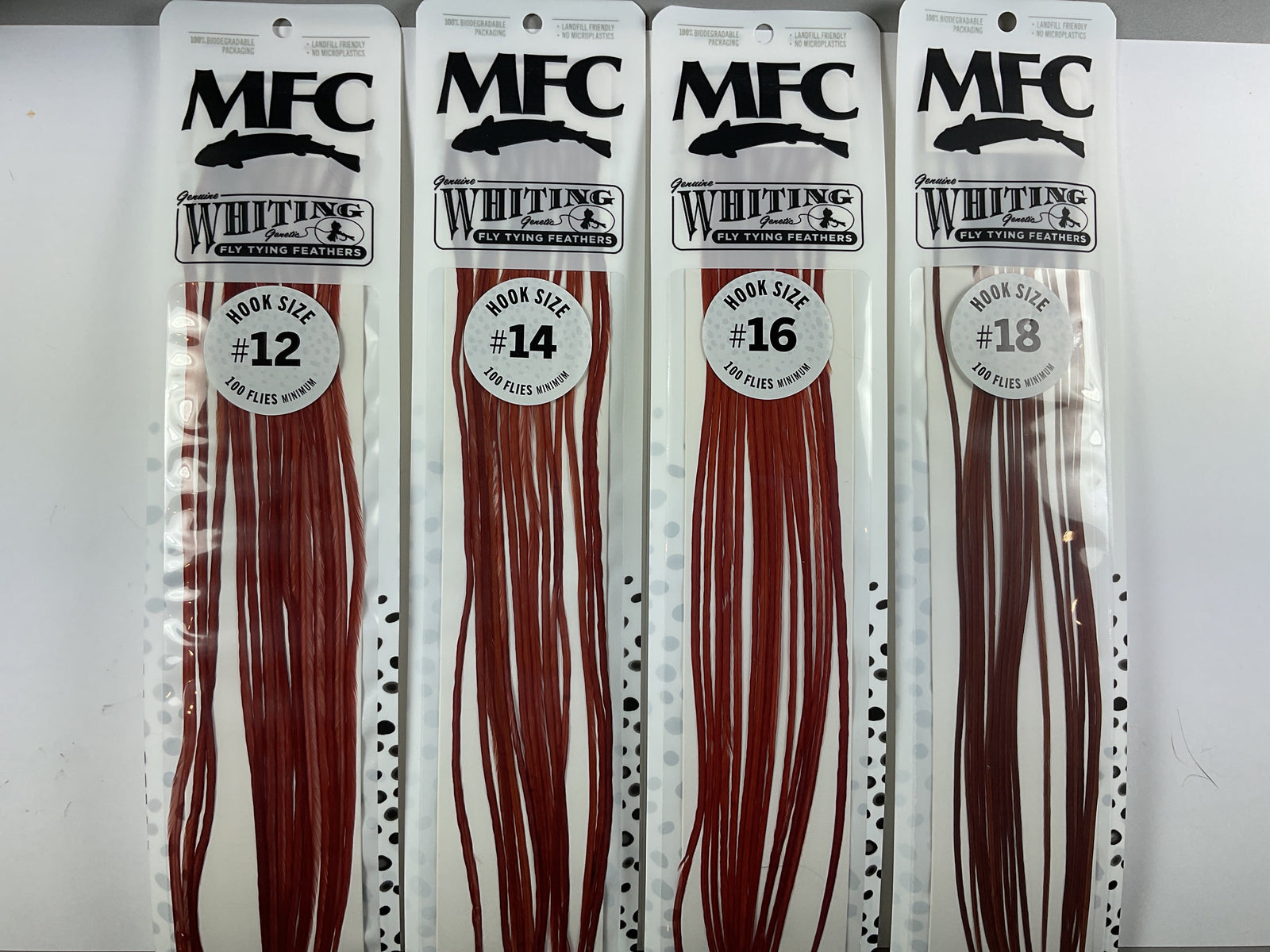 MFC - Whiting 100 Pack Brown Size 16