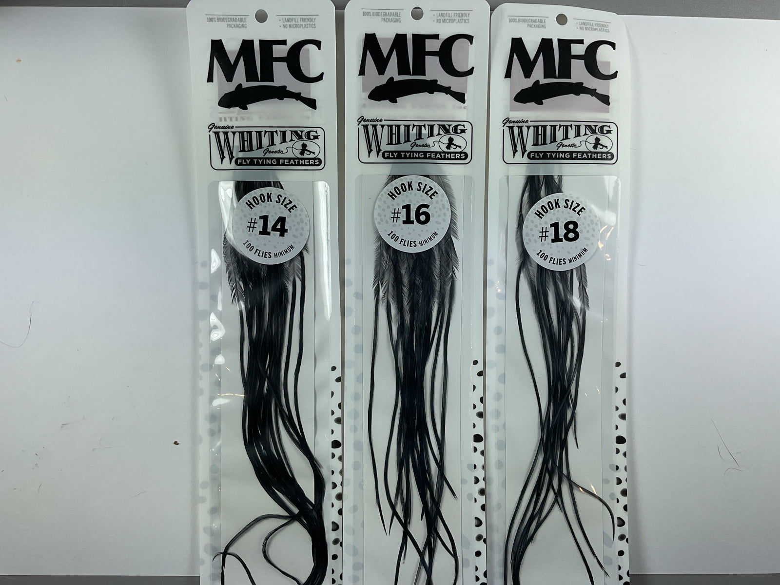 MFC - Whiting 100 Pack Black Size 16