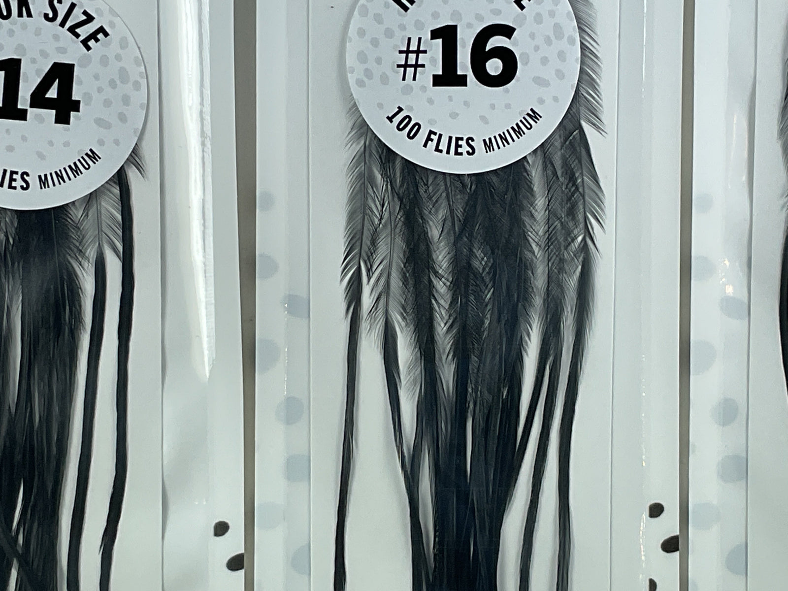MFC - Whiting 100 Pack Black Size 16