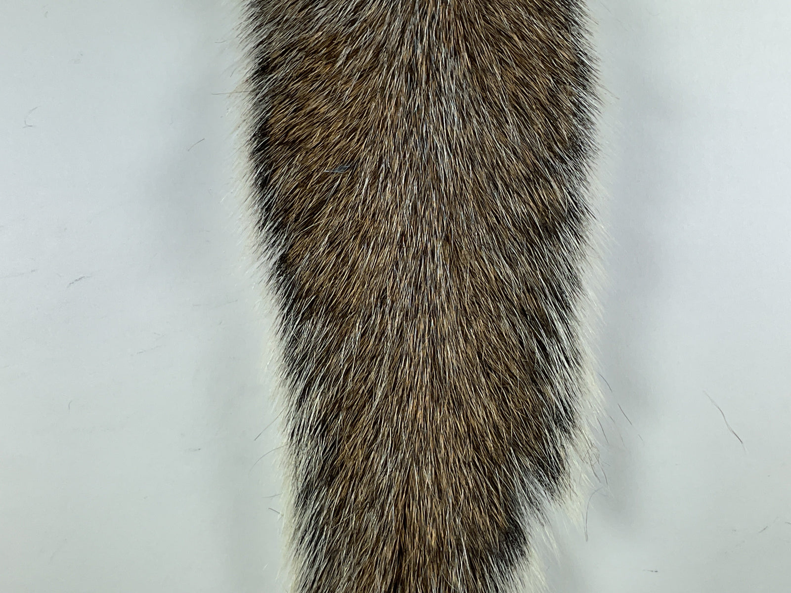 Gray Squirrel Tail Natural #242