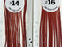 MFC - Whiting 100 Pack Brown Size 18