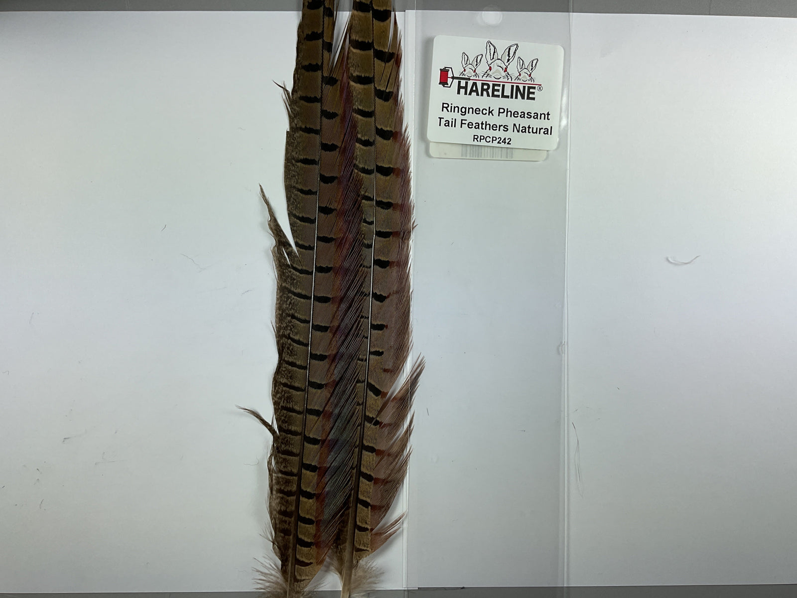 Ringneck Pheas. Tail Feathers Natural #242
