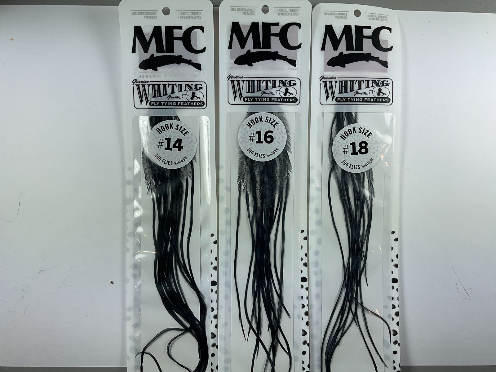 MFC - Whiting 100 Pack Black Size 14