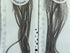 MFC - Whiting 100 Pack Dark Dun Size 12