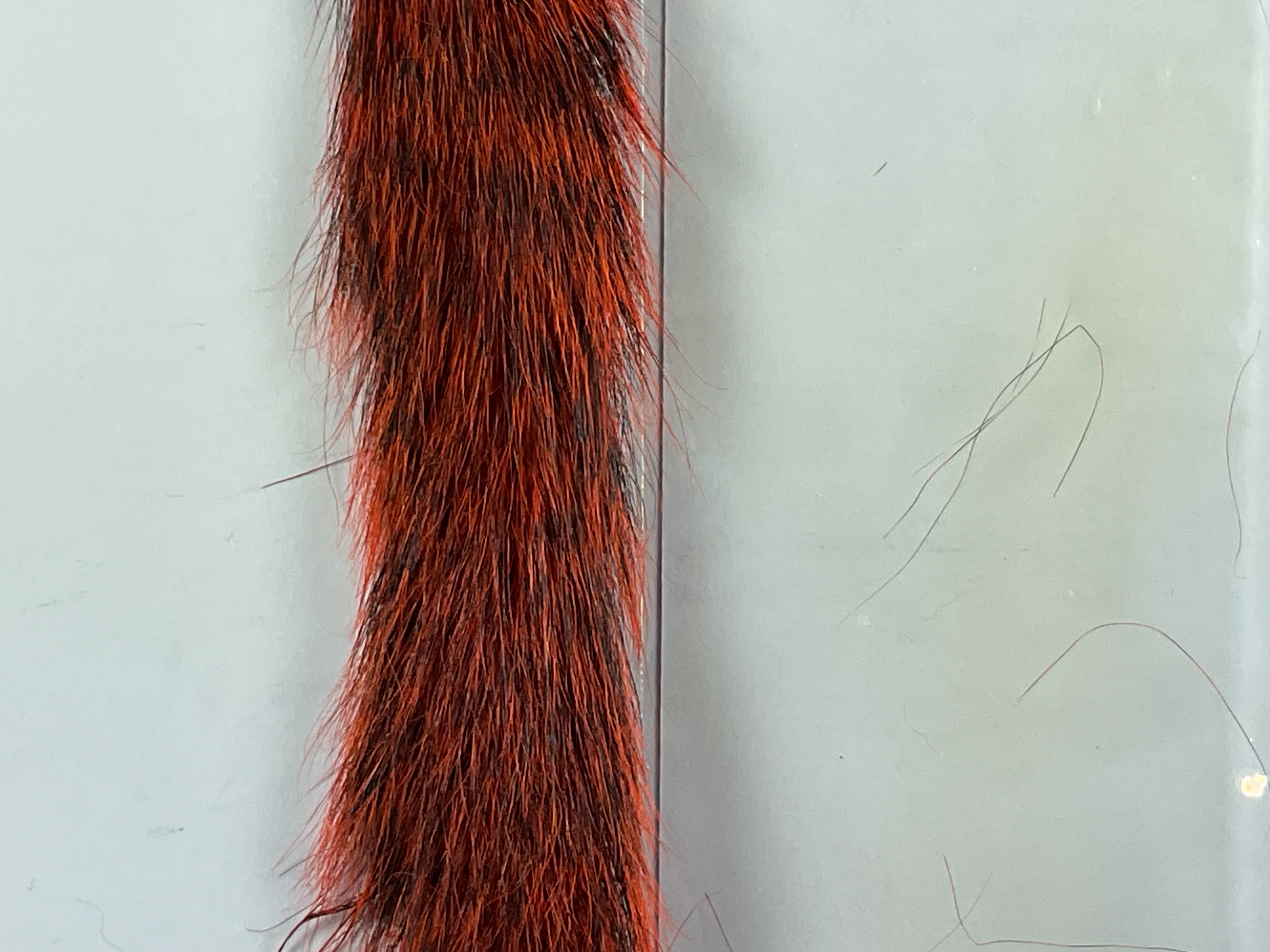 Gray Squirrel Tail Dyed Orange #271