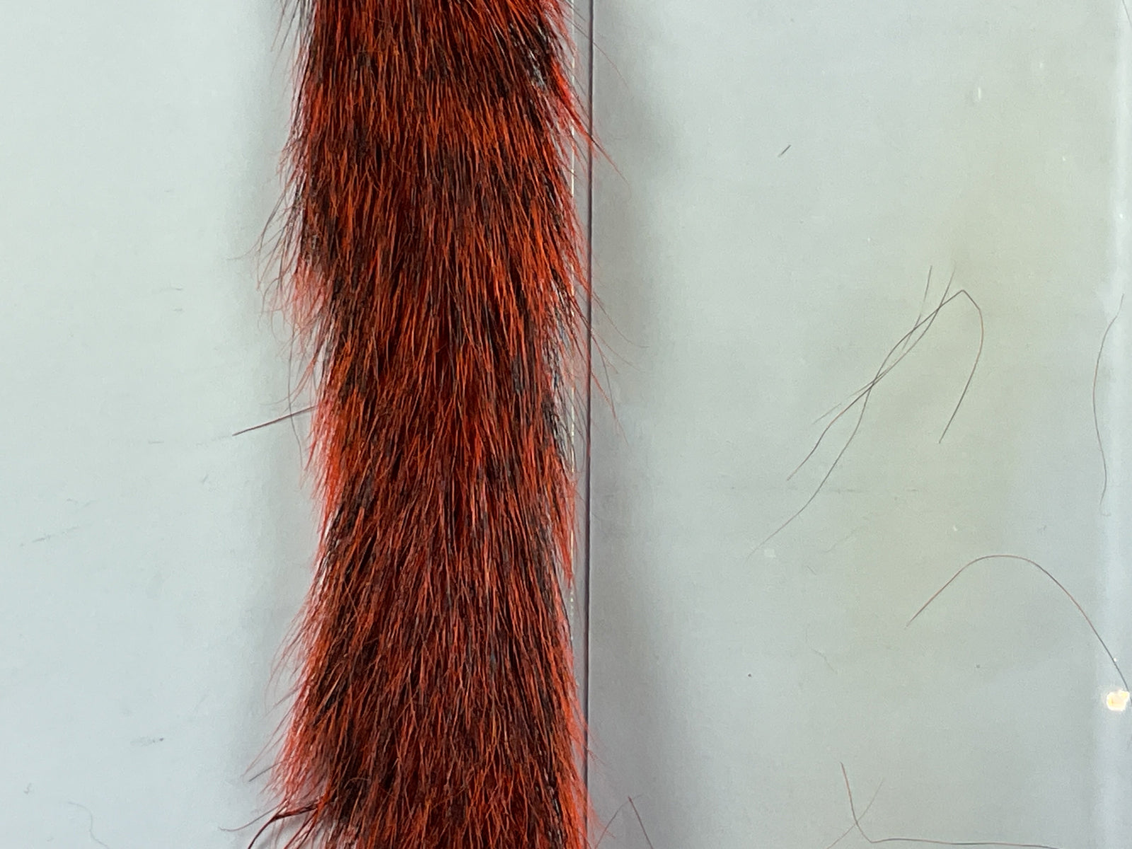 Gray Squirrel Tail Dyed Orange #271