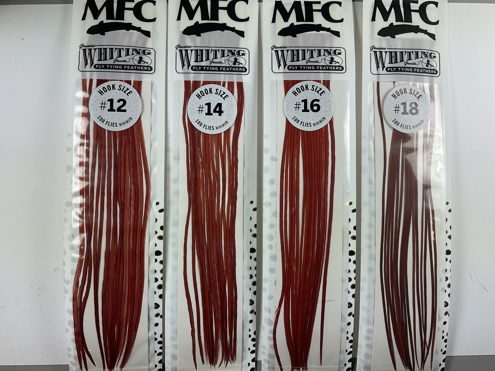 MFC - Whiting 100 Pack Brown Size 12