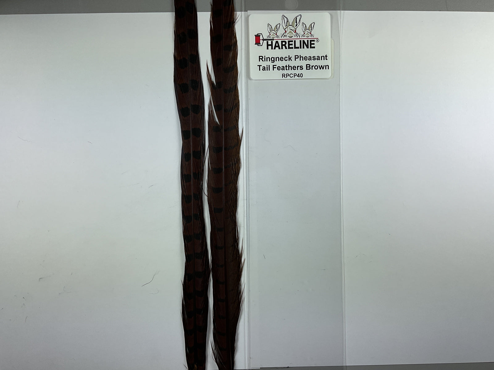 Ringneck Pheas. Tail Feathers Brown #40
