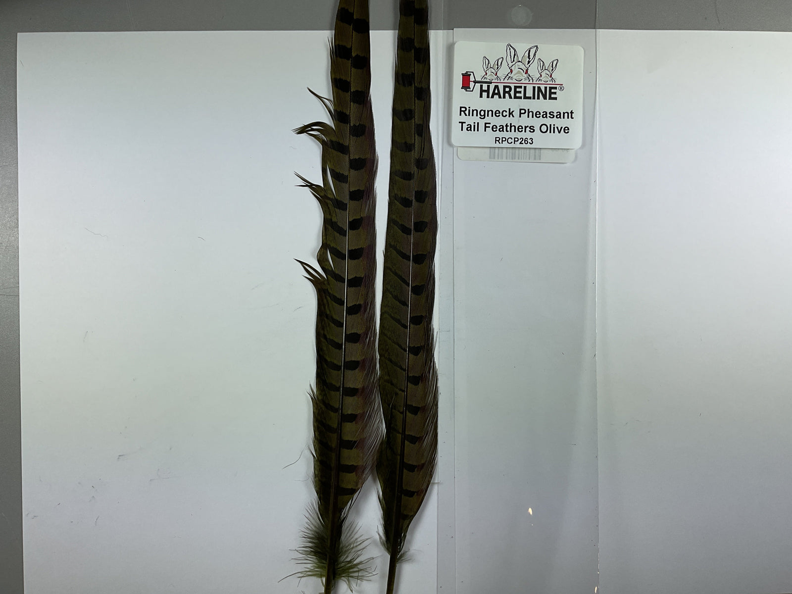 Ringneck Pheas. Tail Feathers Olive #263
