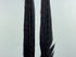 Ringneck Pheas. Tail Feathers Purple #298
