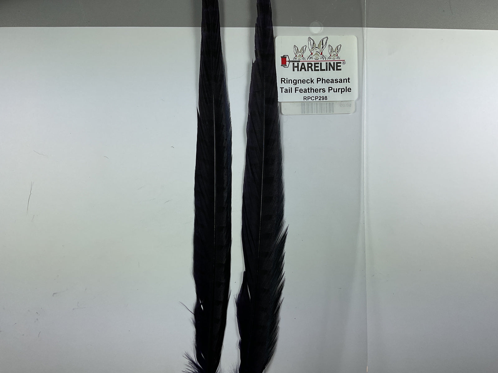 Ringneck Pheas. Tail Feathers Purple #298