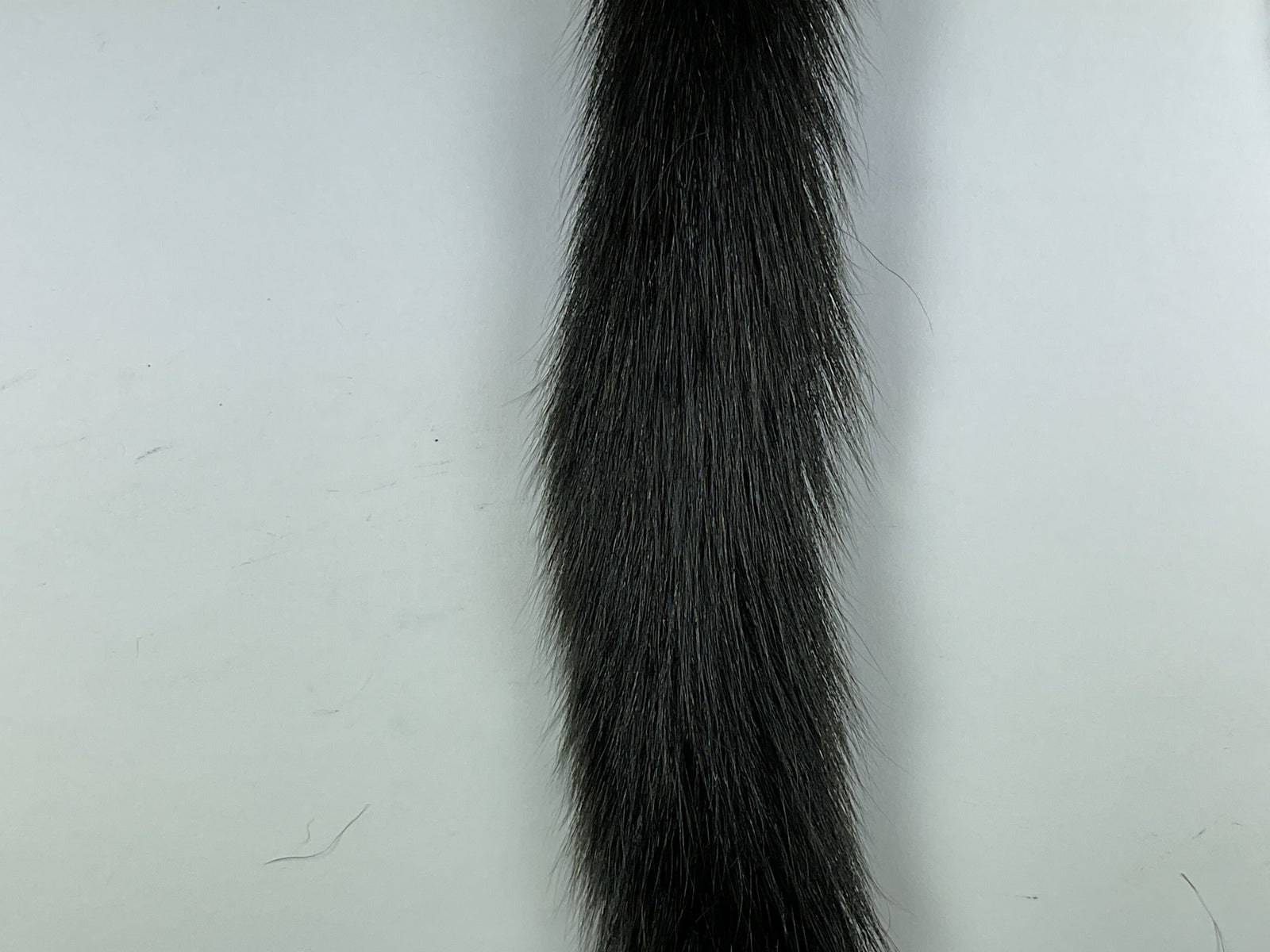 Squirrel Tail Dyed Black #11