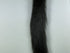 Squirrel Tail Dyed Black #11