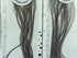 MFC - Whiting 100 Pack Dark Olive Size 16