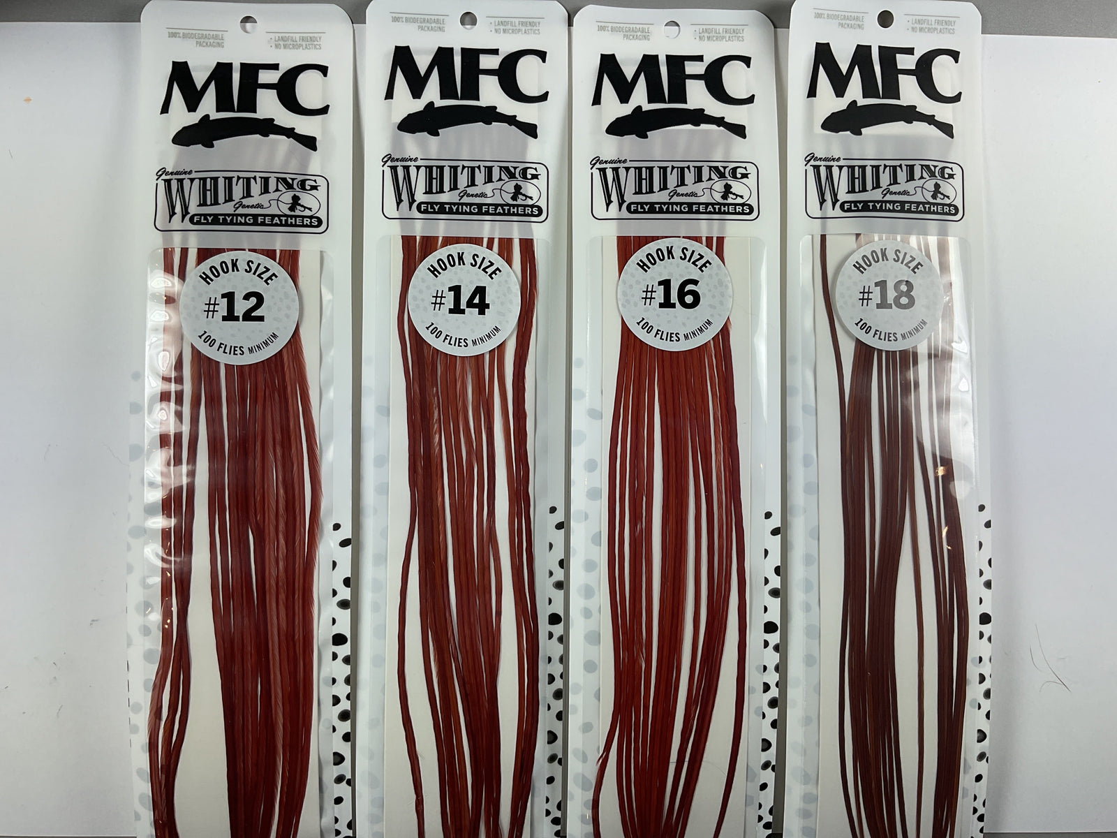 MFC - Whiting 100 Pack Brown Size 14