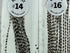 MFC - Whiting 100 Pack Grizzly Size 16