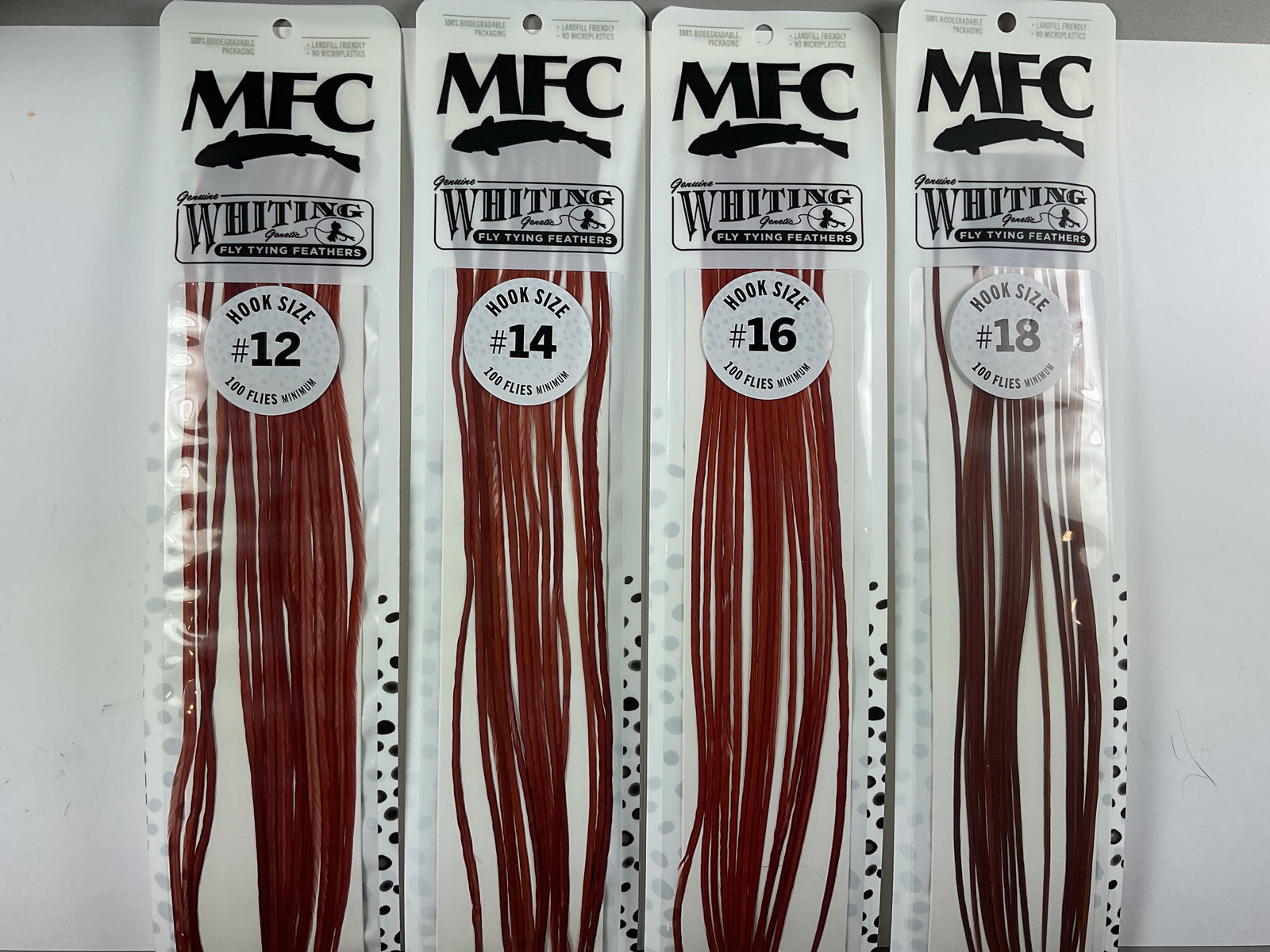 MFC - Whiting 100 Pack Brown Size 18
