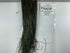 Strung Peacock Herl 8-10"