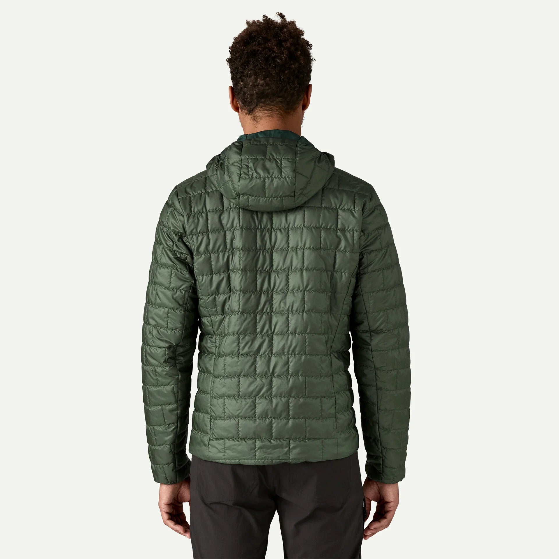Patagonia - M's Nano Puff Fitz Roy Trout Hoody - Old Growth Green