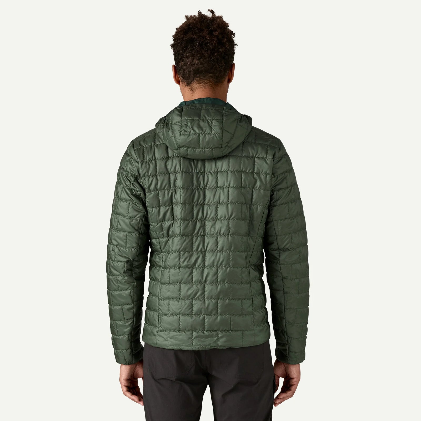 Patagonia - M's Nano Puff Fitz Roy Trout Hoody - Old Growth Green