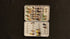 Perrine - #95 Vintage Fly Box & Salmon Flies